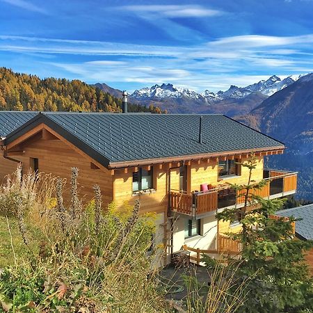 Chalet La Cordee Bettmeralp Εξωτερικό φωτογραφία